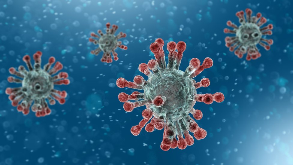 Korona virus: Sve što treba da znate o Kovidu-19