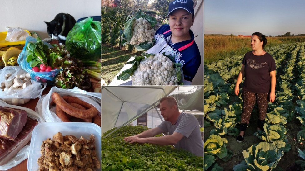 Korona virus i poljoprivreda u Srbiji: Volonteri menjaju naèin prodaje domaæe hrane u Srbiji