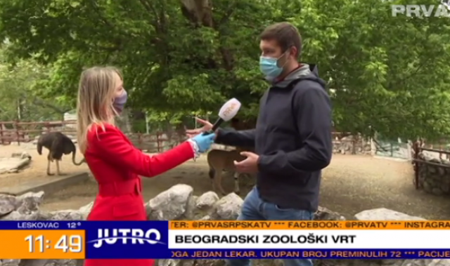 Otvoren Beo zoo vrt: "Apelujemo na posetioce da ne diraju životinje" VIDEO