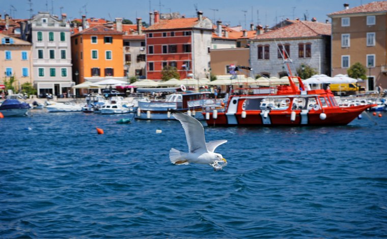 Rovinj: Ponavljanje i sećanje 11873400745fde2feae5d96784800246_760x471