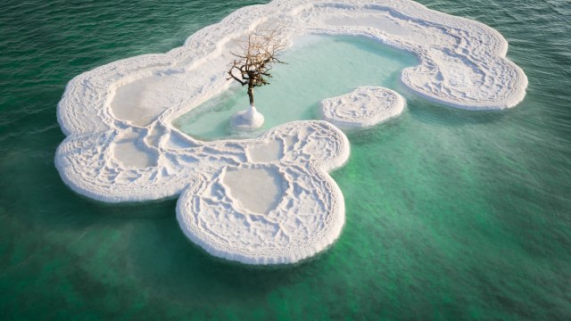 Turistička atrakcija: "Drvo života" na ostrvu od soli usred Mrtvog mora  FOTO/VIDEO - 92putovanja