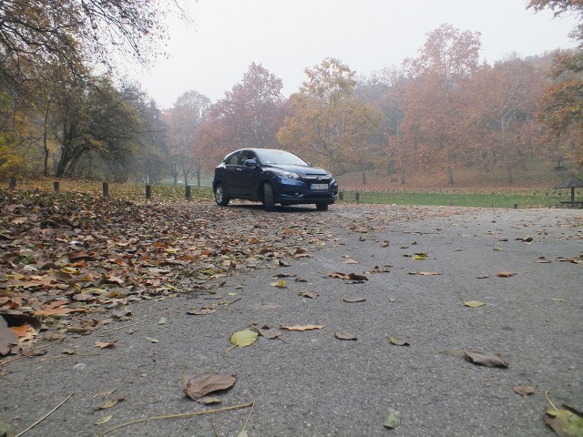 Da li lišće na vozilu može da ošteti lak i boju?