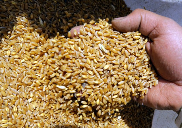 Sporazum o žitu doneæe Ukrajini milijardu dolara meseèno