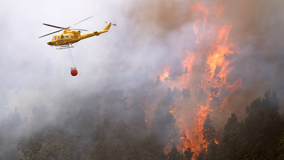 Šumski požari u Evropi: Posledice požara od Grčke do Kanarskih ostrva u fotografijama