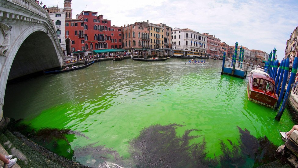 Italija: Misteriozna zelena voda u kanalima Venecije