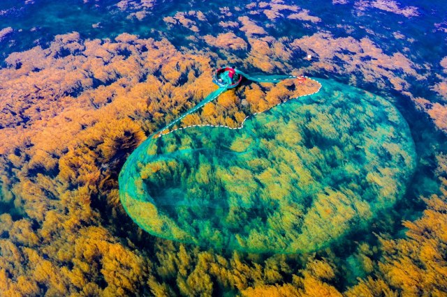 Ovako se peca u Vijetnamu: Nestvarne fotografije bacanja ribarske mreže FOTO