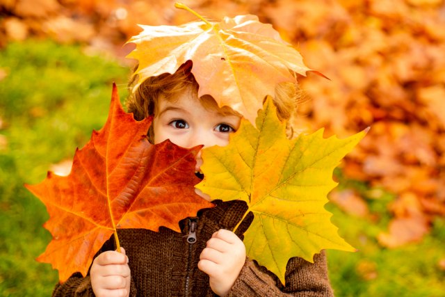 Jesenje IME srpskog porekla: Ukoliko se odlučite za njega veruje se da će vaše dete kroz život PRATITI SREĆA!