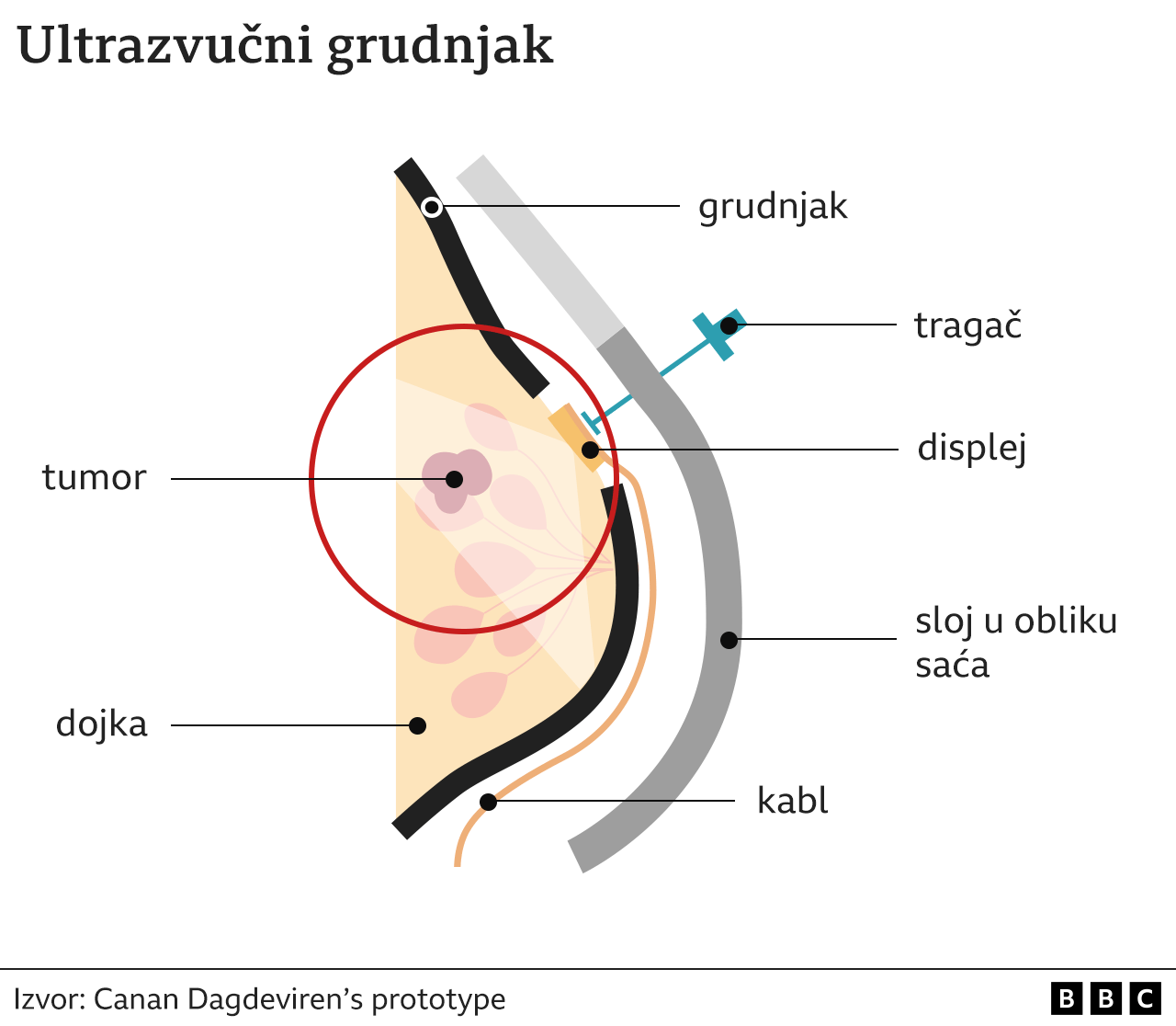 БиБиСи