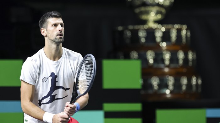 Djokovic: Quando vinceremo la “Salatara”, sarà la migliore stagione della nostra carriera