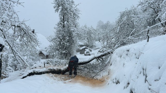 Sneg napravio kolaps u Srbiji: Proglašena vanredna situacija!