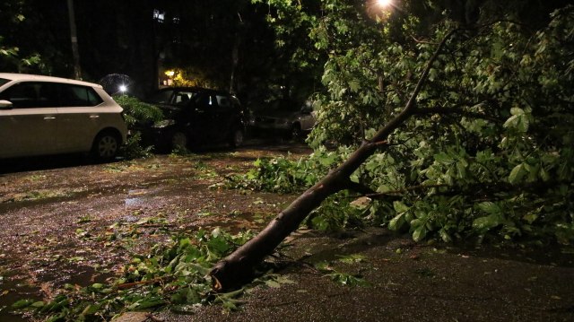 Nevreme napravilo haos u Zapadnoj Srbiji: Drvo palo na kolovoz; vetar nosio splavove FOTO