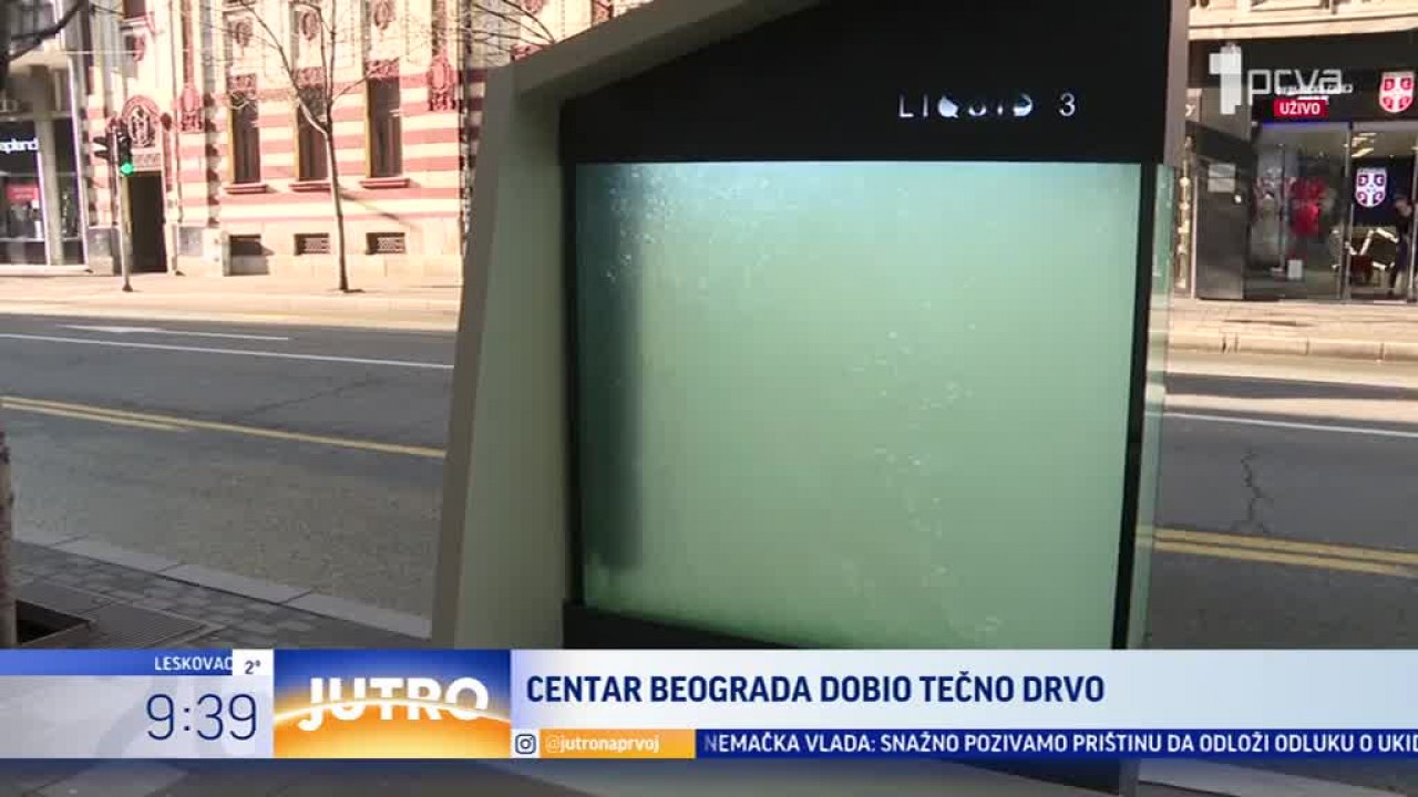 Kako Funkcioniše Tečno Drvo Na Terazijama? VIDEO - Beograd - Društvo ...