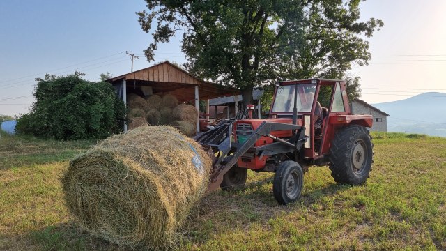 Muke poljoprivrednika: Zbog ovog se voæari i povrtari u Zapadnoj Srbiji obraæaju advokatima