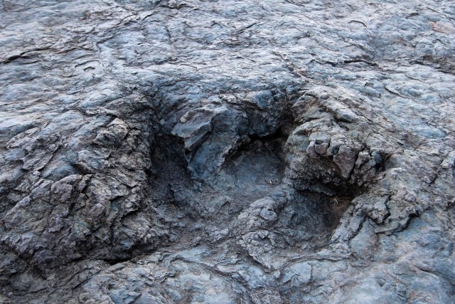 Naučnici u južnoj Kini otkrili prvi kompletan fosil vodenog reptila FOTO
