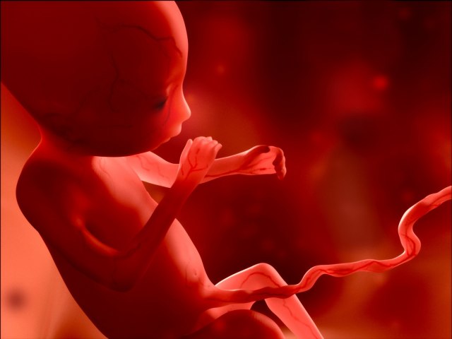 Pronađen fetus vanzemaljca? FOTO