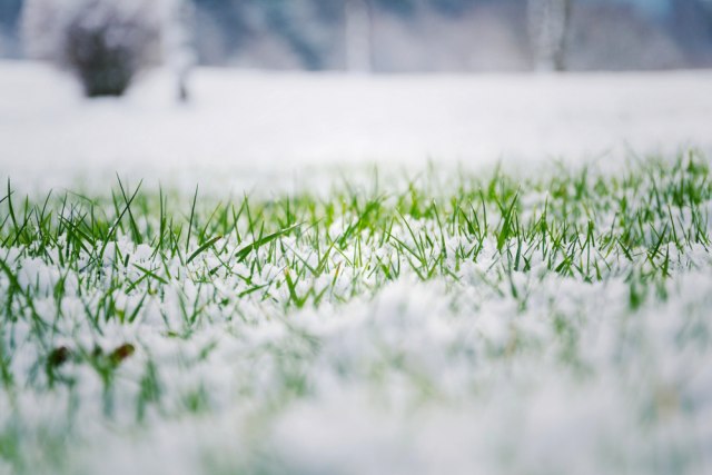 Snežna mećava zahvatila delove Hrvatske; Hladno i sneg očekuju se i danas