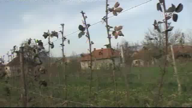 Voće koje na maloj površini donosi veliku zaradu