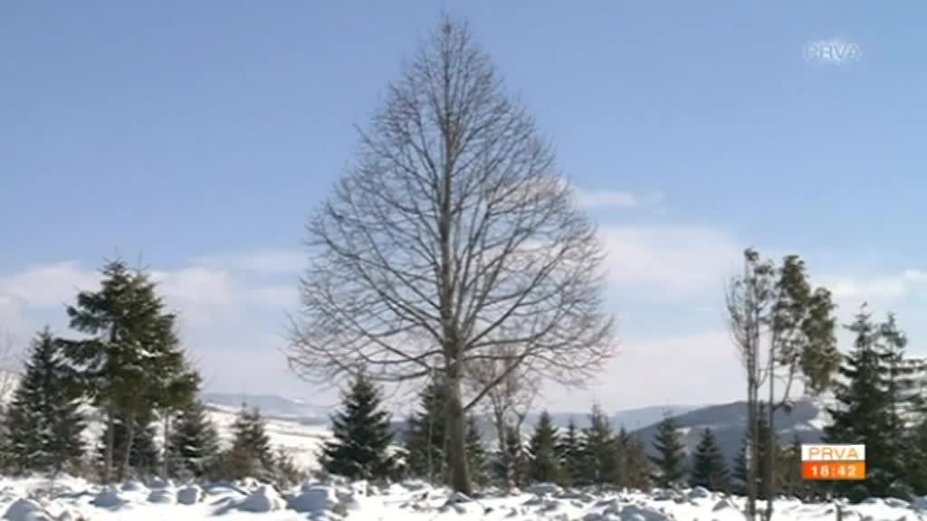 Kakvo nas vreme čeka u januaru?