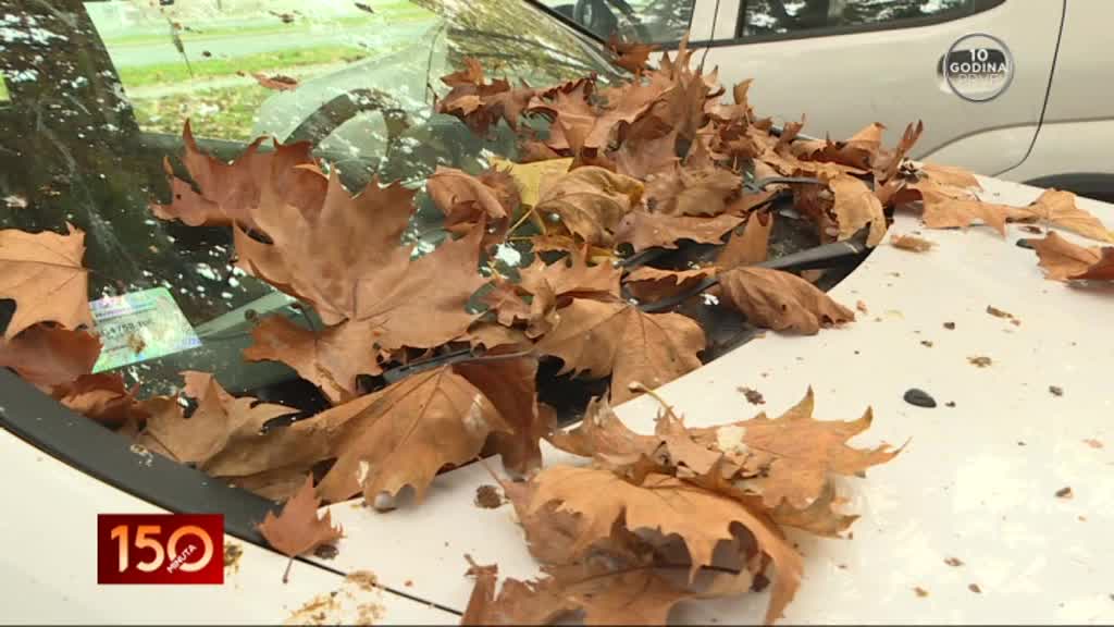 Koliko opalo lišće može oštetiti vozilo i kako rešiti taj problem?