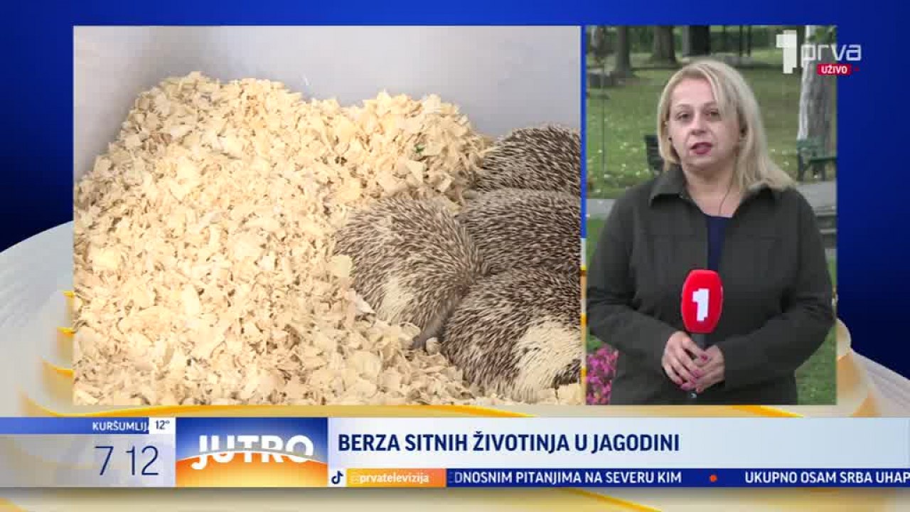 Berza Sitnih životinja U Jagodini - B92