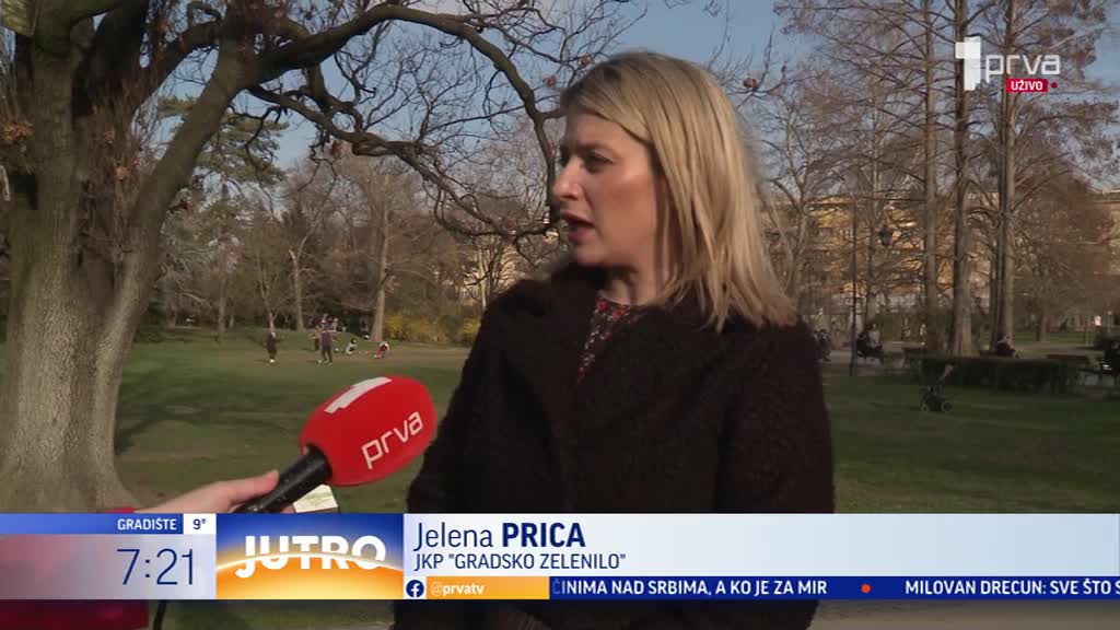 Novosađani počeli sa pripremama